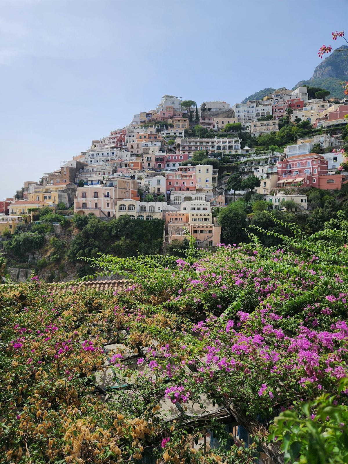 Colourful houses of Positano cascading down cliffside to the sea